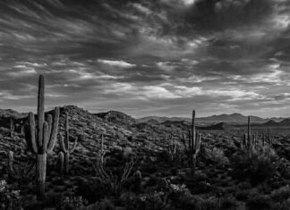Sonoran Desert Sky